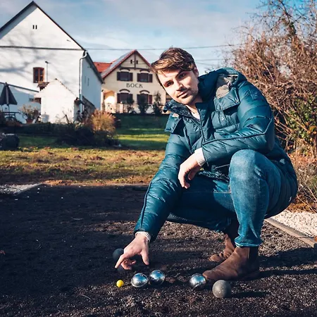 Vb36 Vendeghaz Vilă