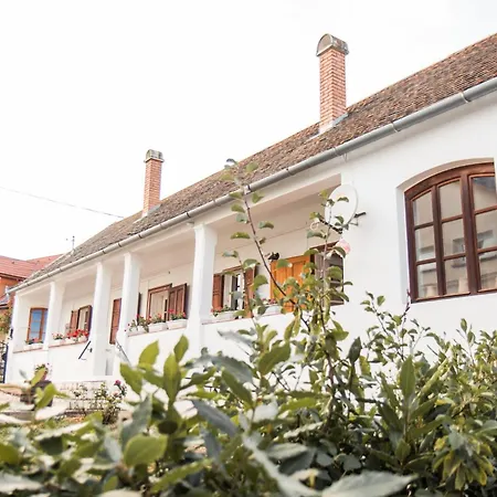 Vb36 Vendeghaz Vilă Villány