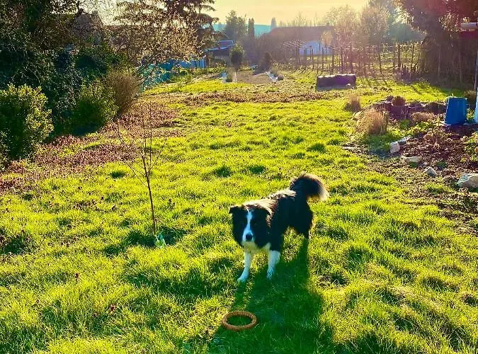 Vb36 Vendeghaz *