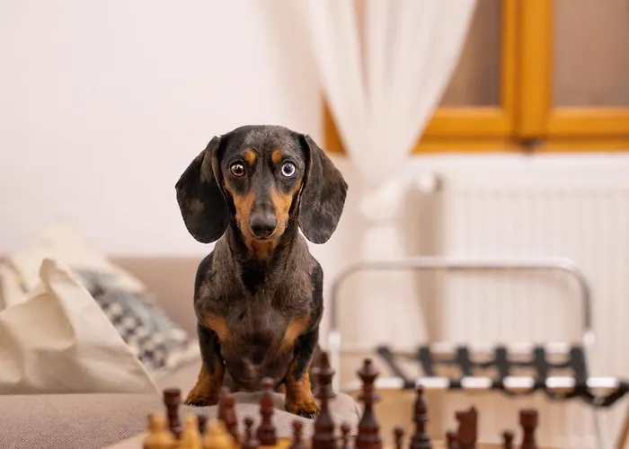 Vb36 Vendeghaz Villány