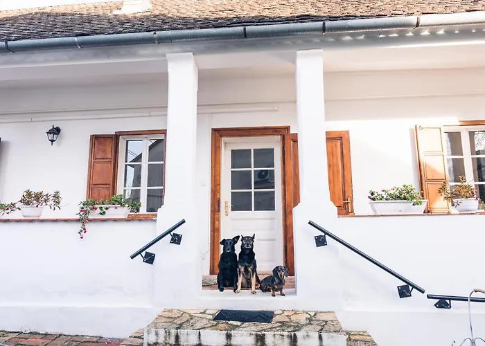 Vilă Vb36 Vendeghaz