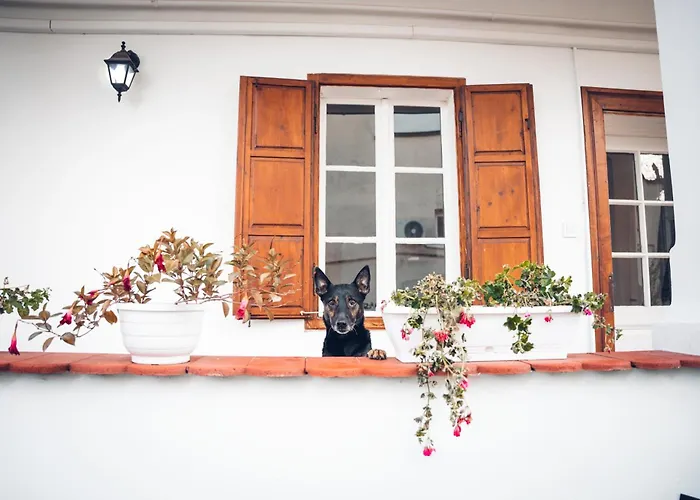 Vilă Vb36 Vendeghaz *