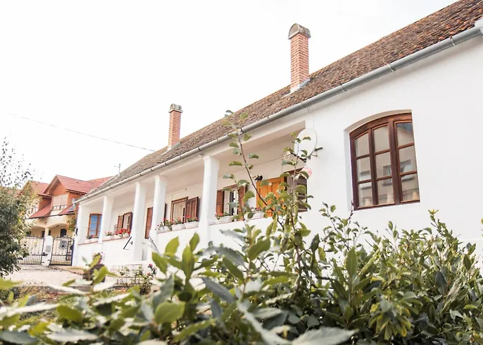 Vb36 Vendeghaz Vilă Villány