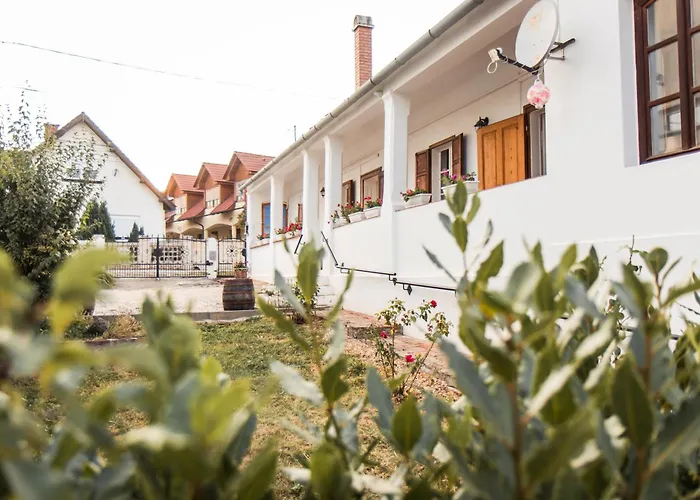 Vb36 Vendeghaz Vilă Villány